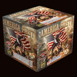 RACCOON AMERICA FIRST- CASE 4/1
